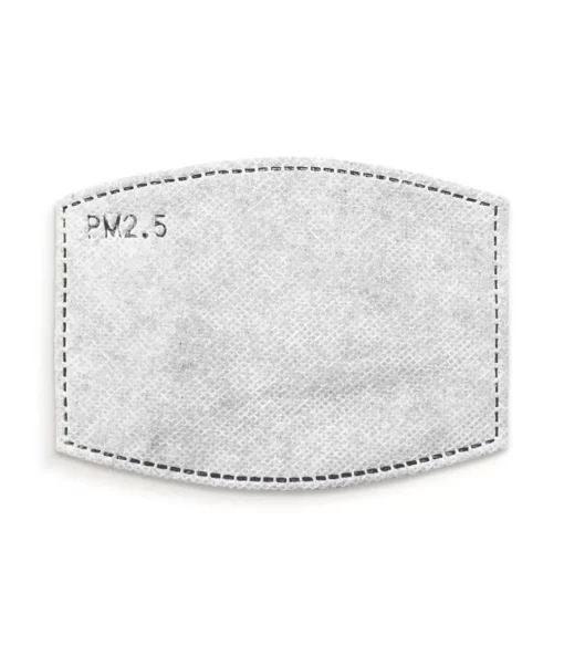 Disposable Pm2.5 Face Mask Filters (10-Pack)/Discontinued
